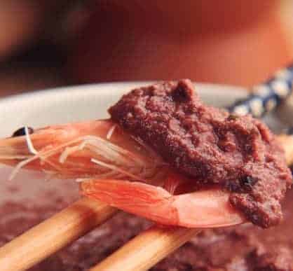 Top 9 Best Shrimp Paste Reviews and Buying Guide