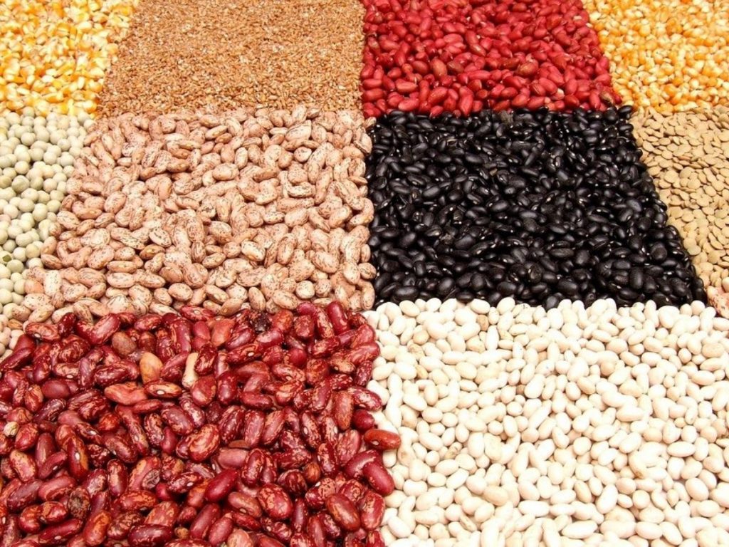 How to Properly Cook Dried Beans2